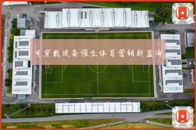 可穿戴设备催生体育营销新蓝海