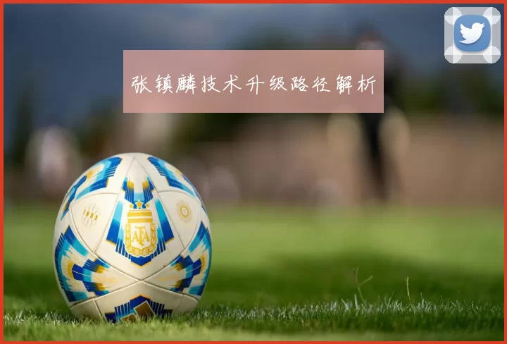 张镇麟技术升级路径解析