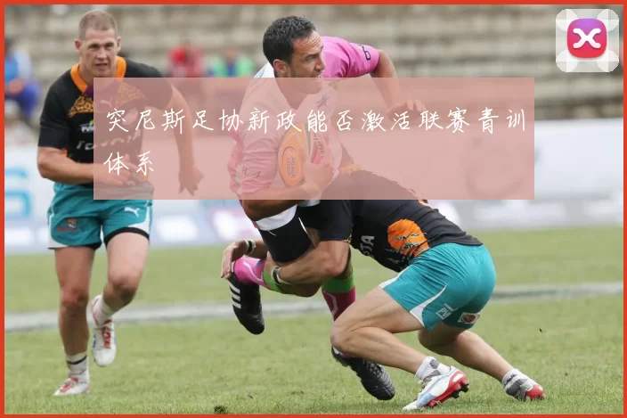 突尼斯足协新政能否激活联赛青训体系